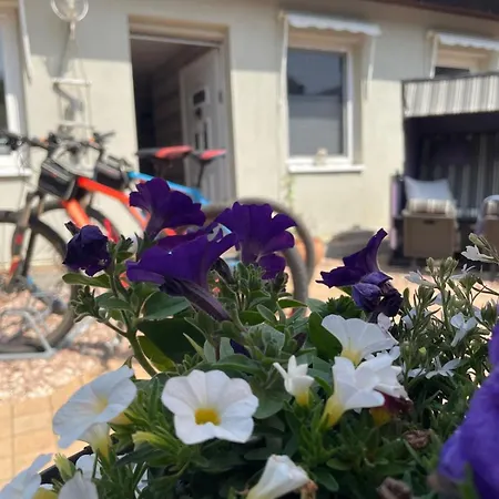 Olivia Ab 3 Naechten