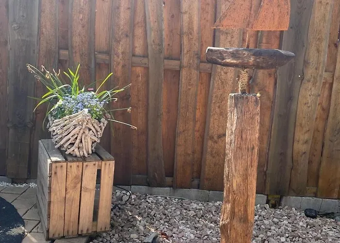 Olivia * ריינסברג