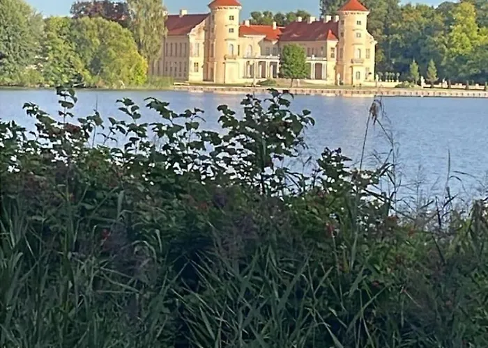 Olivia * ריינסברג